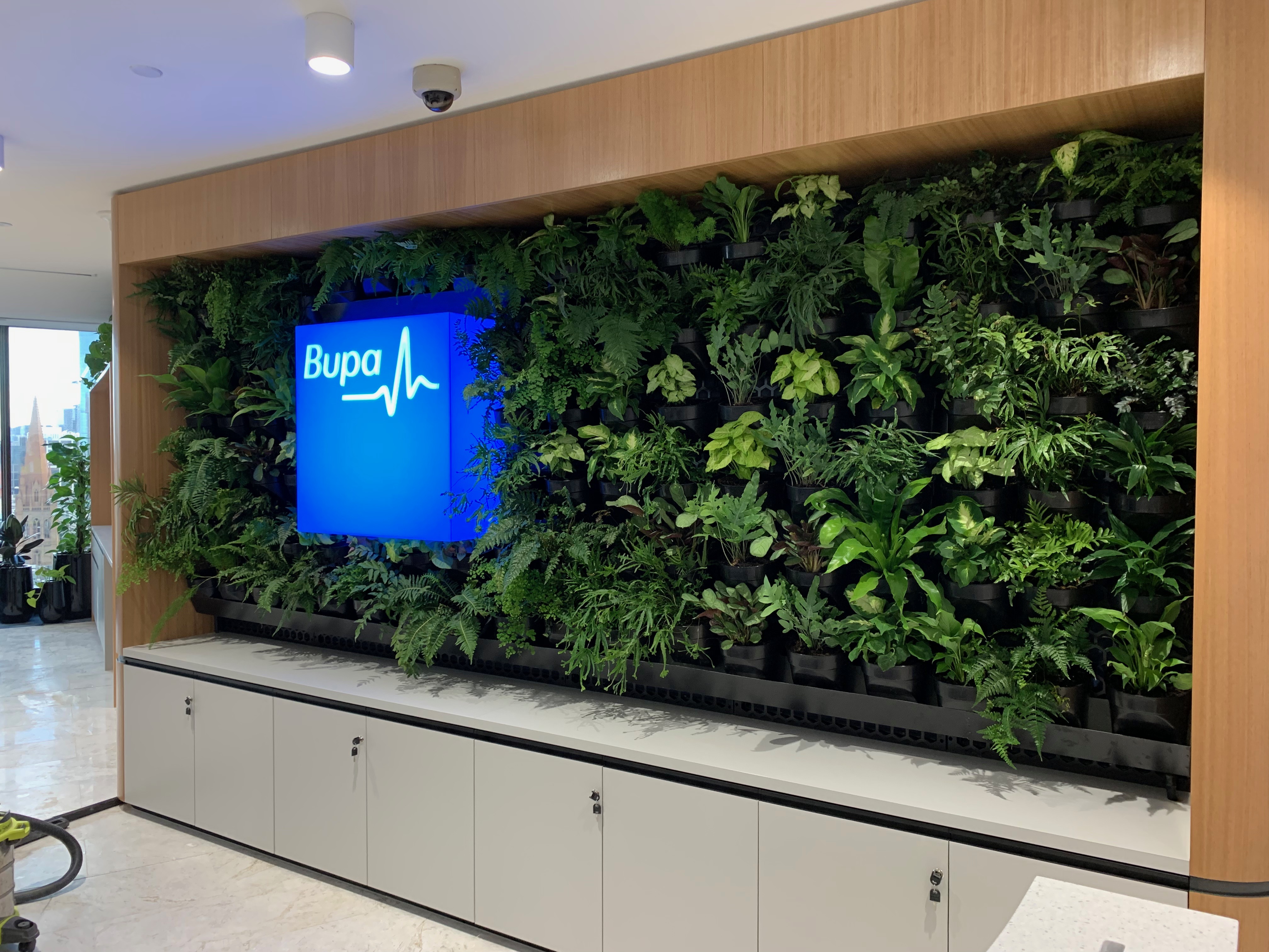 Vertical Wall | Foliage Indoor Plant Hire
