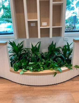 Custom planter boxes