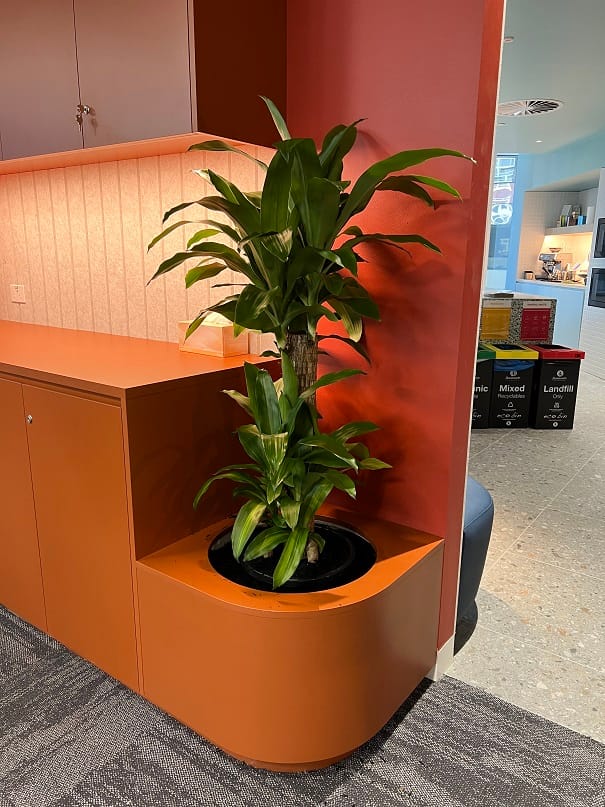 Retro Fitout Planters